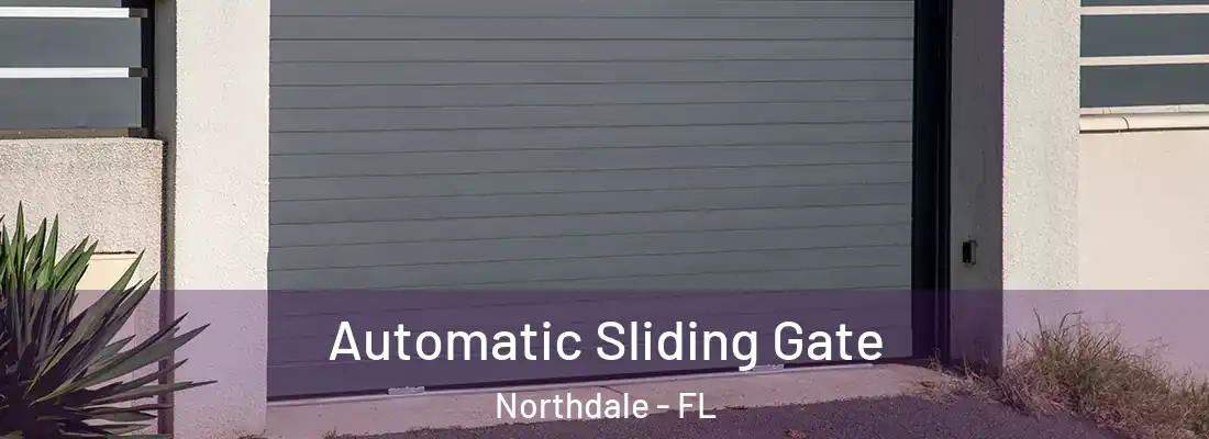  Automatic Sliding Gate Northdale - FL