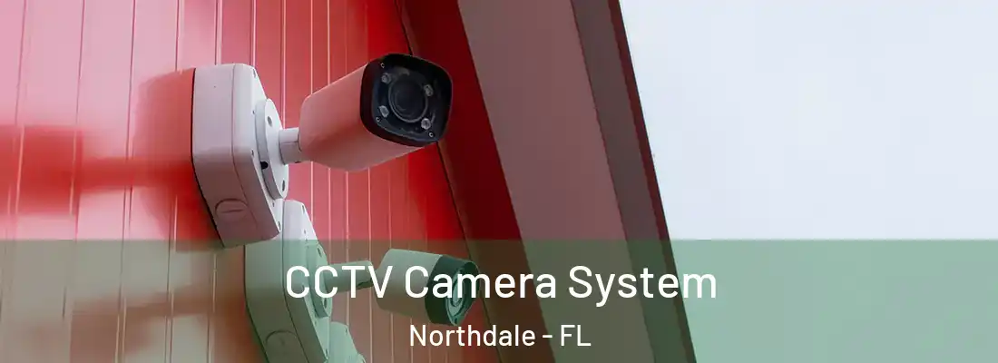  CCTV Camera System Northdale - FL