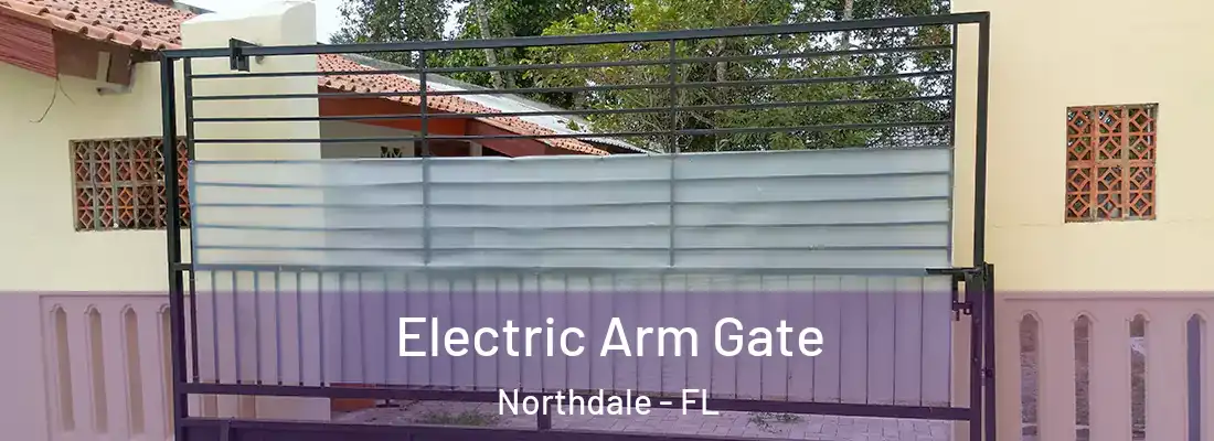  Electric Arm Gate Northdale - FL
