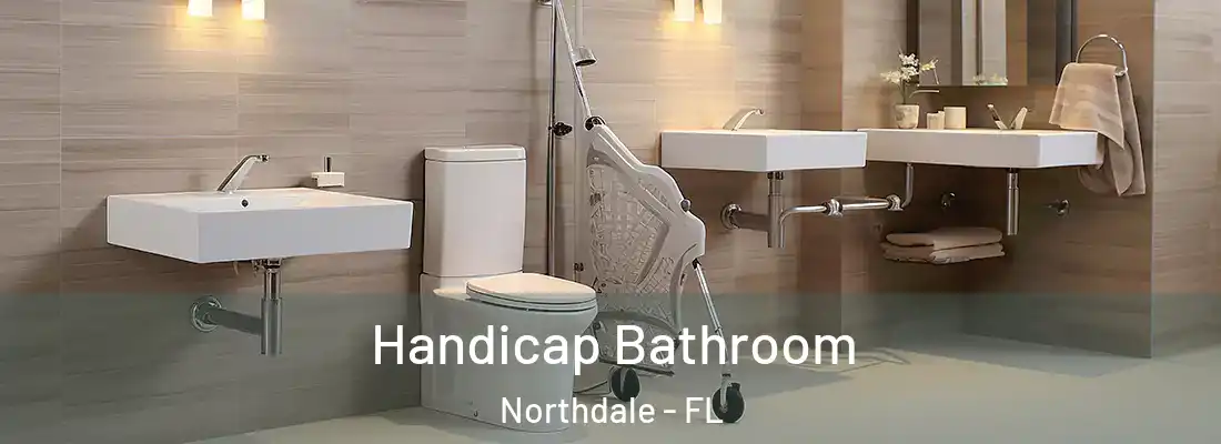 Handicap Bathroom Northdale - FL