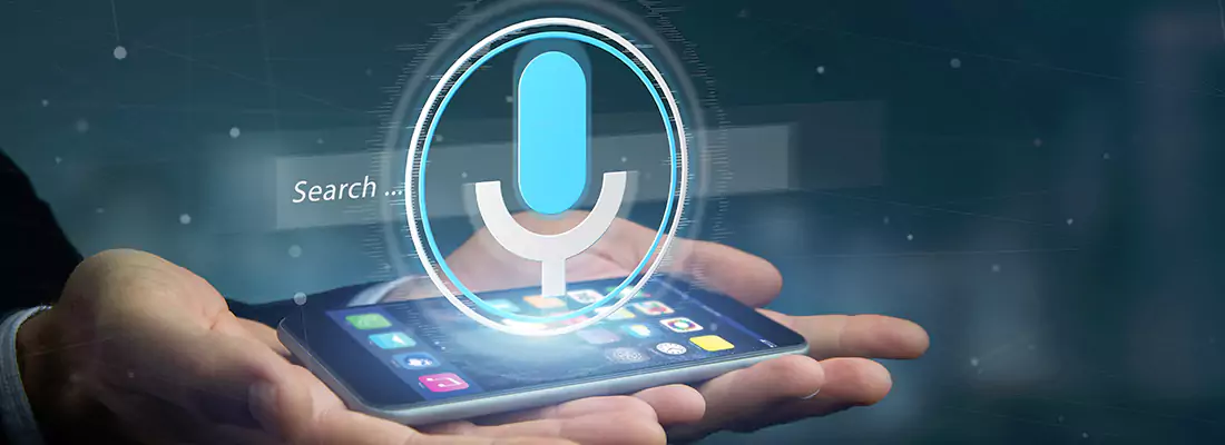 Enhance Security with Voice Recognition Access Systems in Northdale, FL