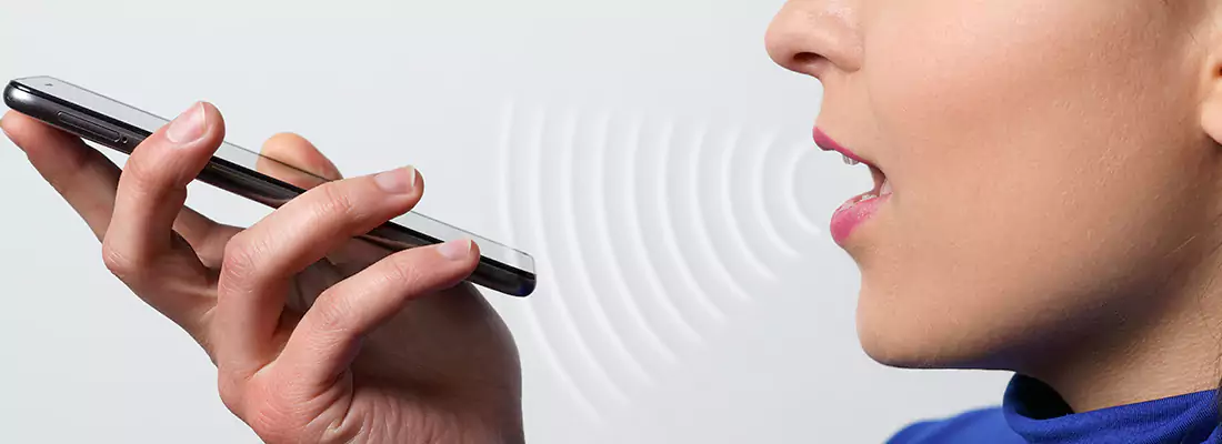 Residential and Commercial Voice Recognition Access Solutions in Northdale, FL