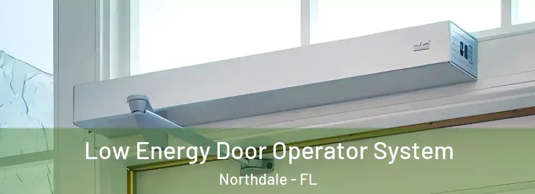  Low Energy Door Operator System Northdale - FL