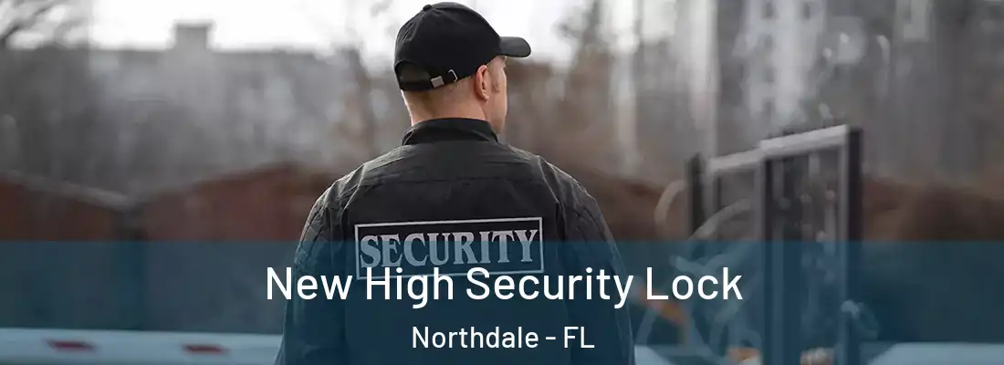  New High Security Lock Northdale - FL